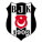 Besiktas Fibabanka Istanbul
